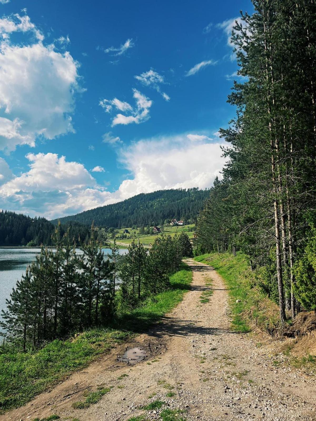 Zminica Lake House Жабляк Экстерьер фото