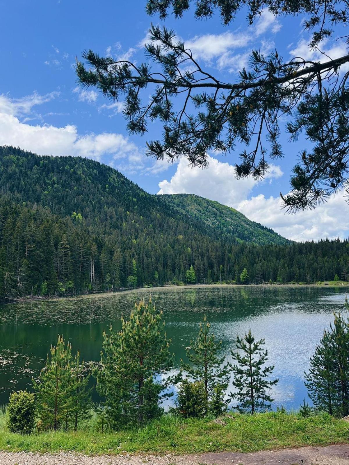 Zminica Lake House Жабляк Экстерьер фото